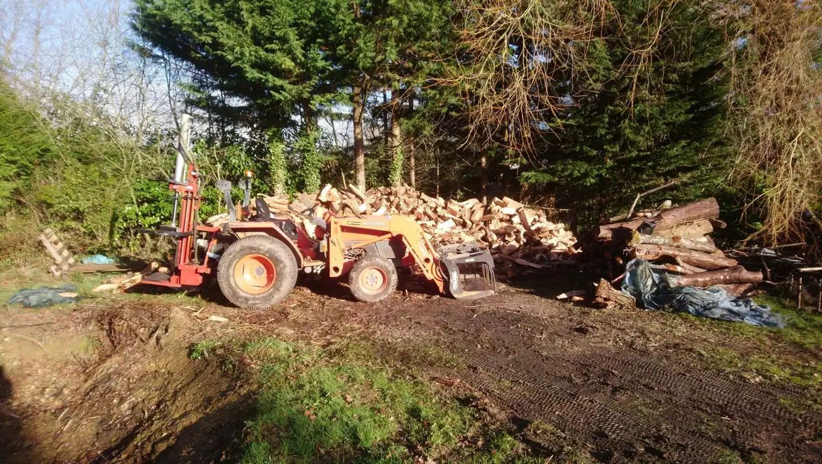 Un tracteur à côté d’un grand tas de bois fendu, au bord d’un bois