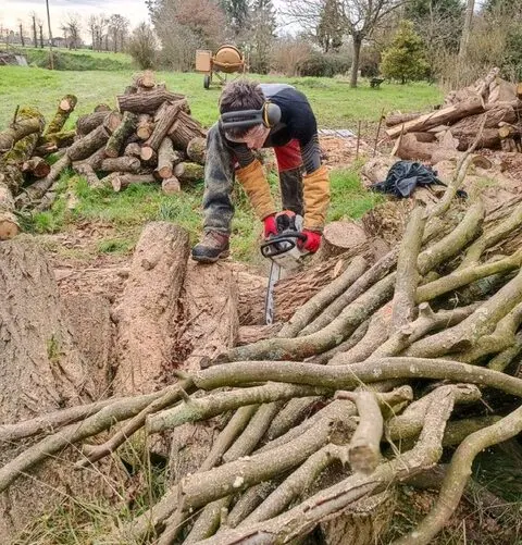 Des branches découpées à la tronçonneuse, à côté d’un tas de bûches